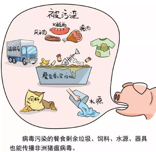 致全市餐饮服务单位防控非洲猪瘟的一封信